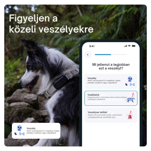 Tractive DOG 6 - GPS-nyomkövető kutyáknak és egészségügyi monitor, menta