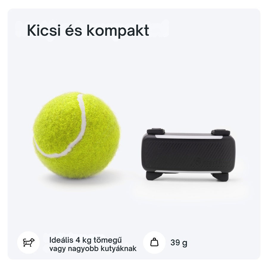 Tractive DOG 6 - GPS-nyomkövető kutyáknak és egészségügyi monitor, fekete