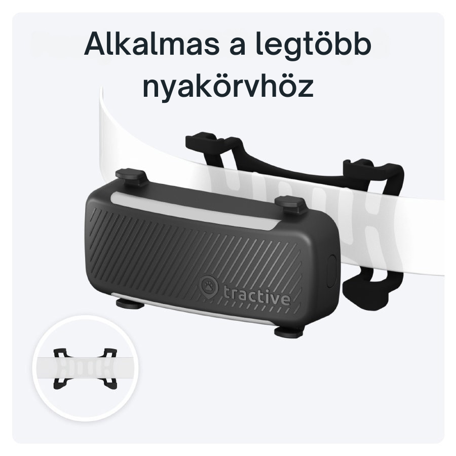 Tractive DOG 6 - GPS-nyomkövető kutyáknak és egészségügyi monitor, fekete