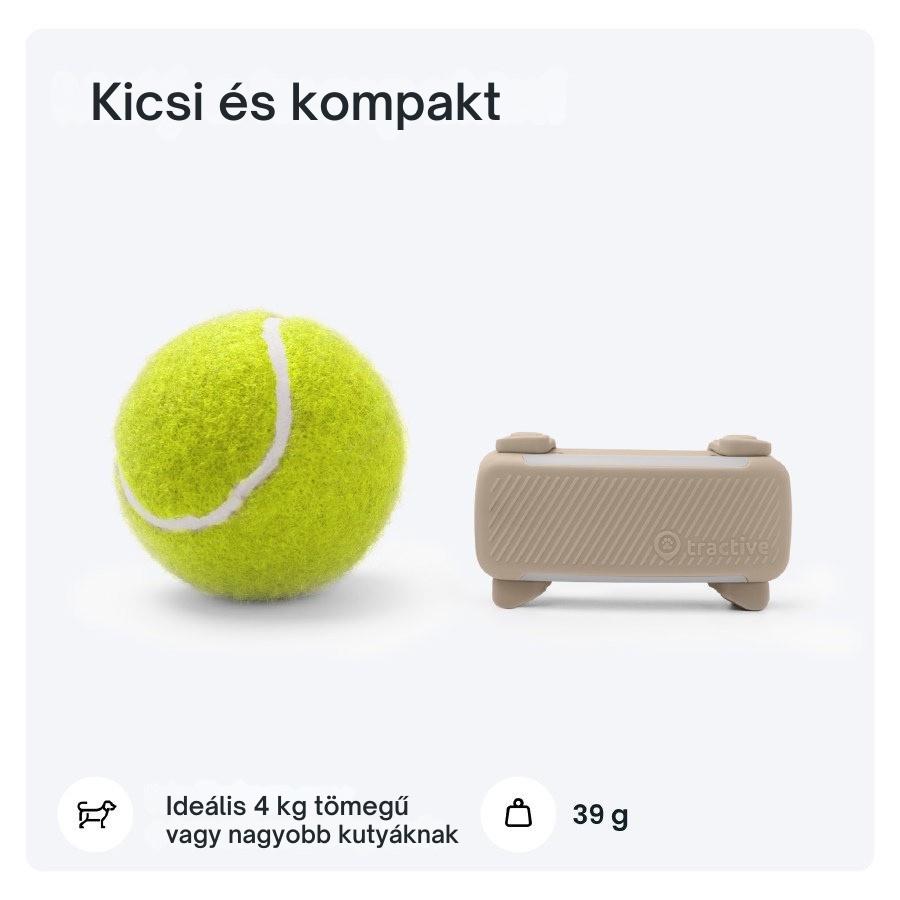 Tractive DOG 6 - GPS-nyomkövető kutyáknak és egészségügyi monitor, barna