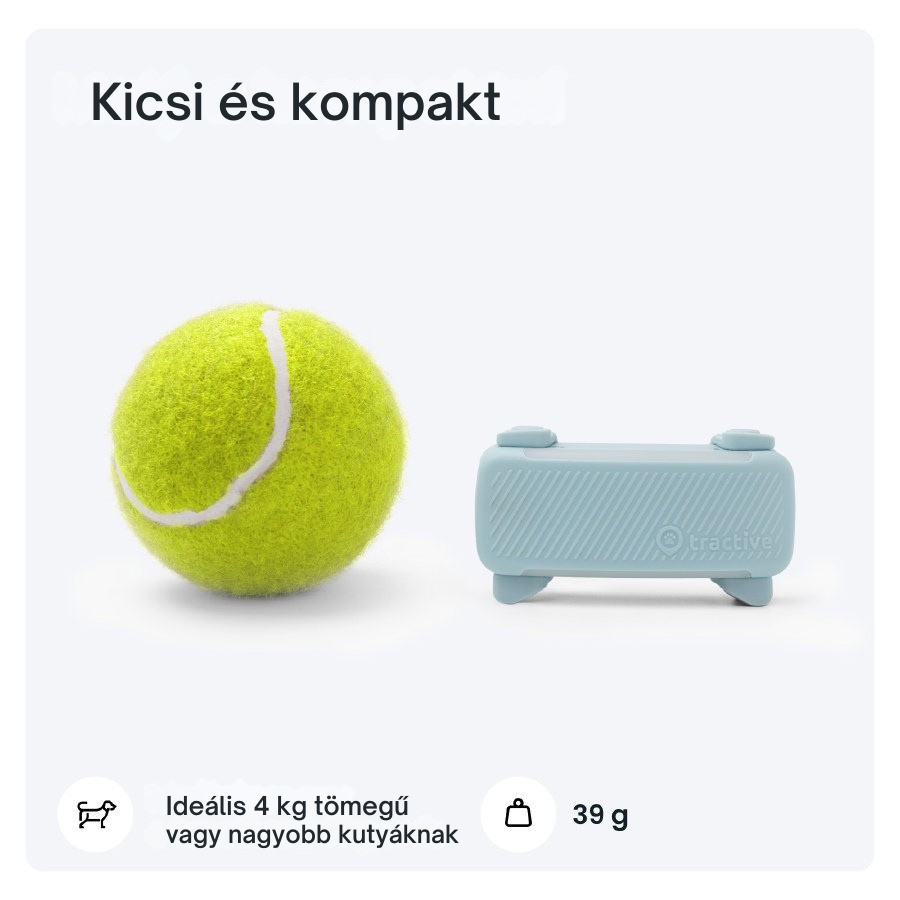 Tractive DOG 6 - GPS-nyomkövető kutyáknak és egészségügyi monitor, menta