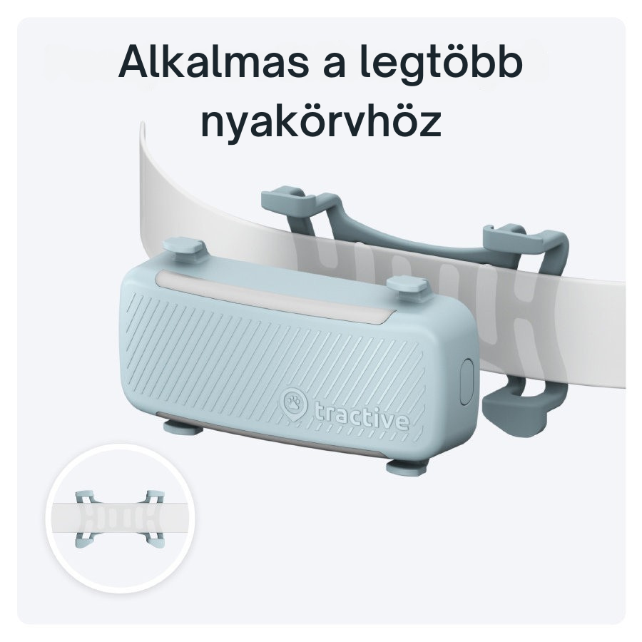 Tractive DOG 6 - GPS-nyomkövető kutyáknak és egészségügyi monitor, menta