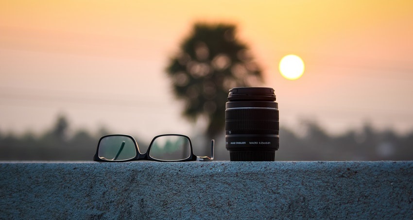 Objektív, szemüveg, fa, nap