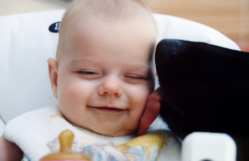 Gyerekek mellé milyen kutya