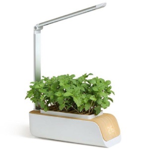 BOT okos virágcserép