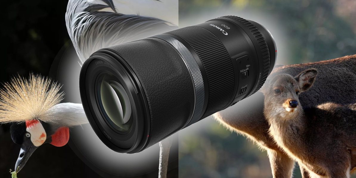 Canon RF 600mm F11 IS STM