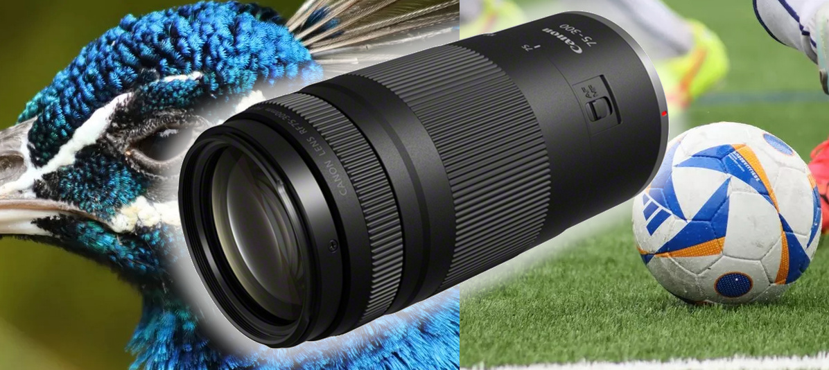Canon RF 75-300 mm f/4-5,6