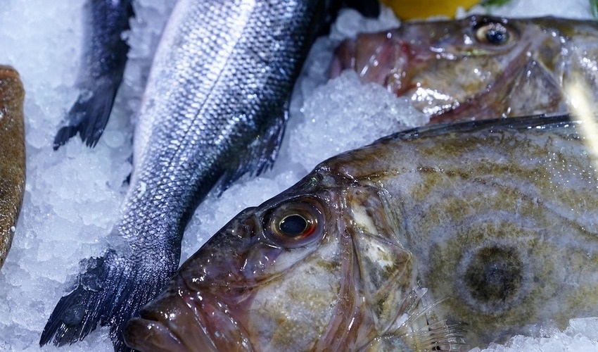 Hűtőszekrény tisztítása