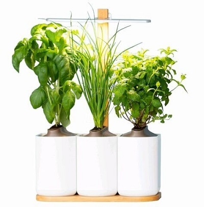 Smart virágcserepek