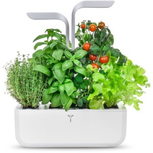 Okos virágcserép fűszernövényekhez