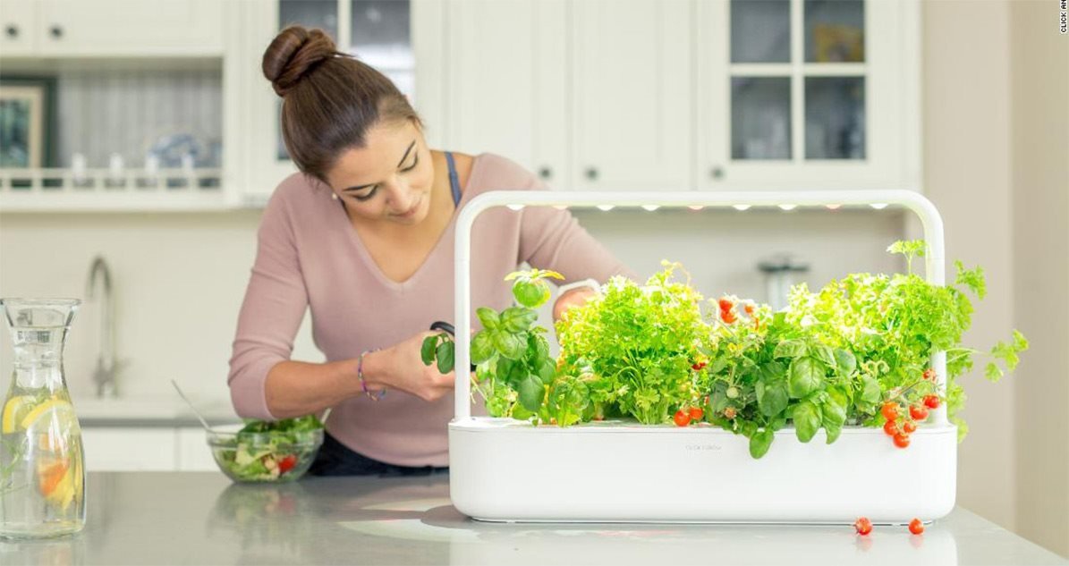 Okos kert és műhely