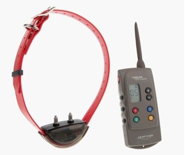 elektromos nyakörv kutyának