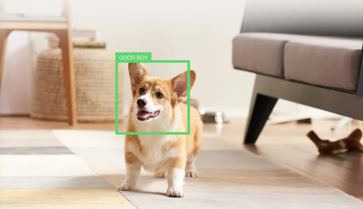 PetCube Play 2 aktivitásmérő kutyáknak és macskáknak