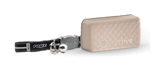 mini nyomkövető macskára