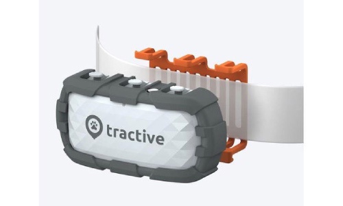 tractive kutya gps