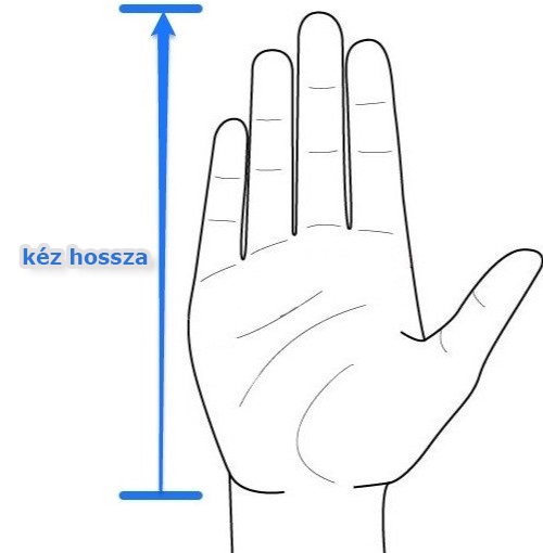 Kéz nagysága