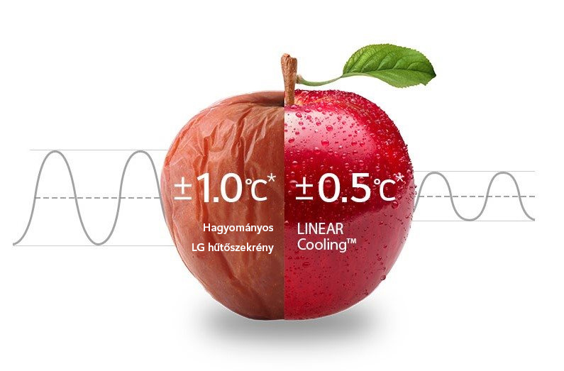 Hűtőszekrény LG GBV3100CPY Hűtőszekrény LG GBV3100CPY