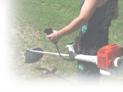 Milyen bozótvágót vegyek? Milyen bozótvágót vegyek?