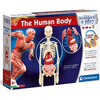 tudományos játék – emberi test