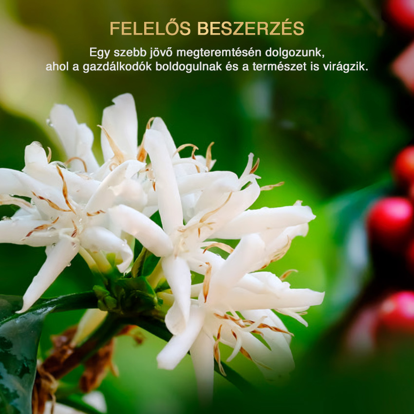 Felelős hozzáállás – L’OR