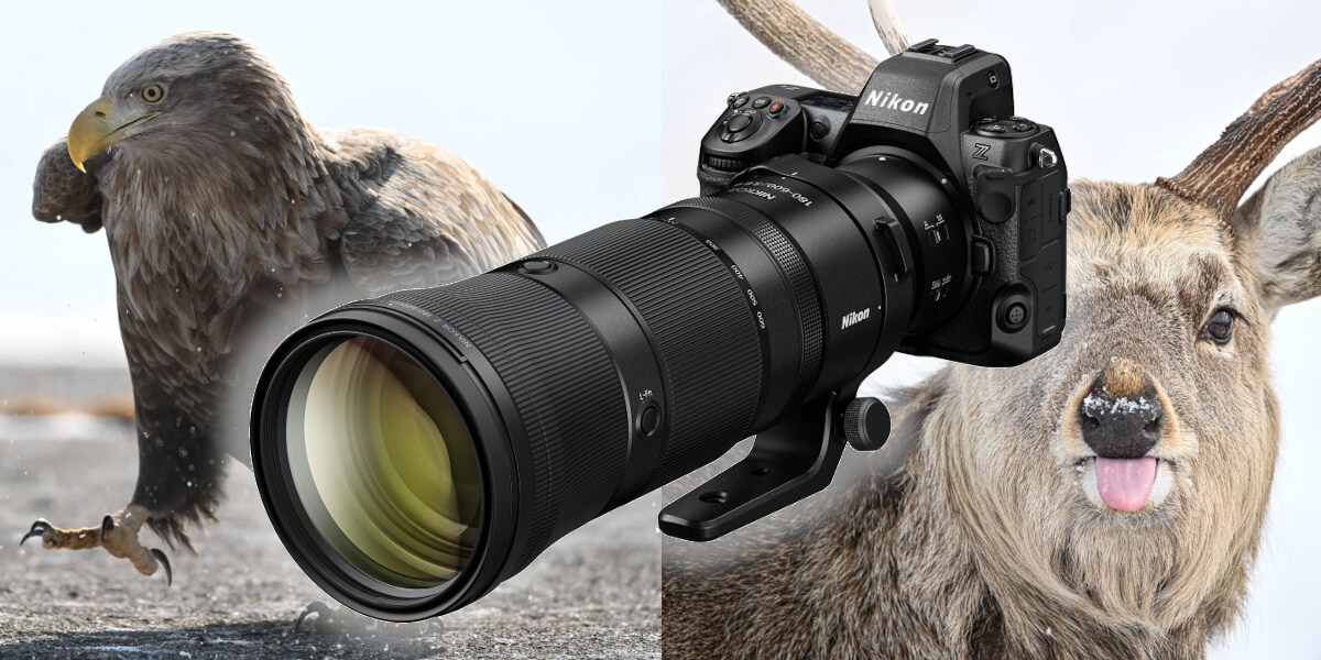 Nikon Z 180-600mm - teszt