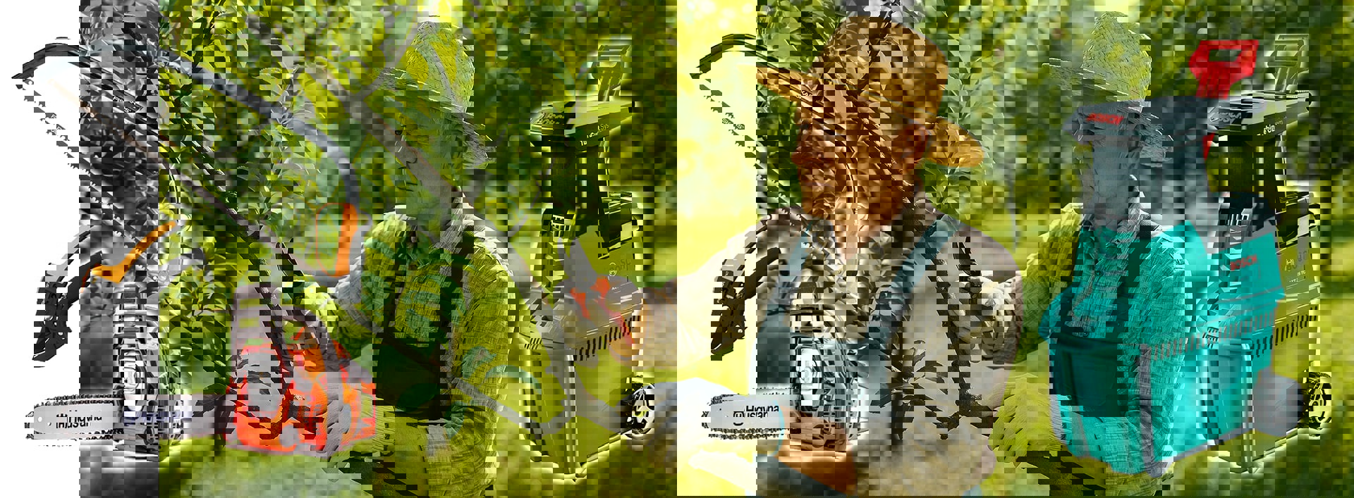 Hogyan kell metszeni?