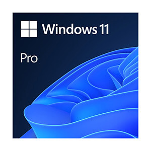 vállalati szoftver Windows 11 Pro