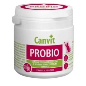 Probiotikumok macskáknak