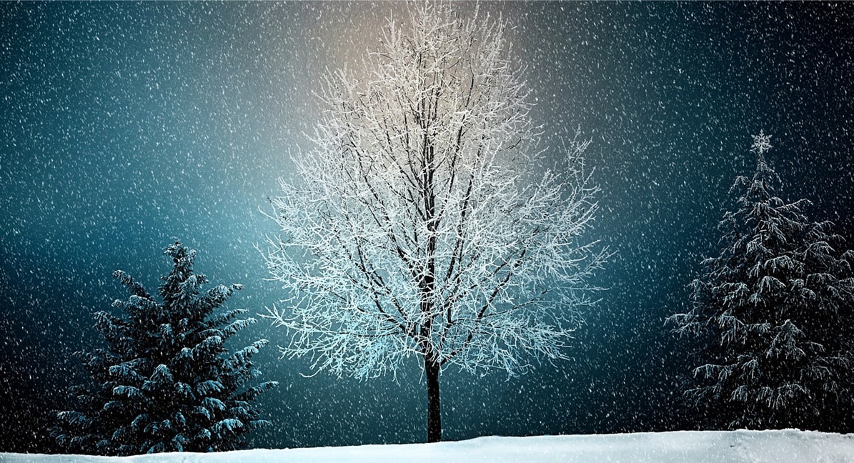 December a kertben