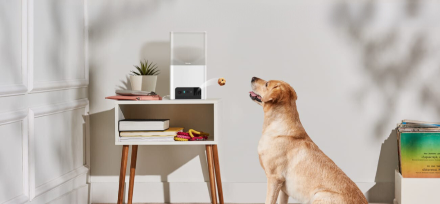 PetCube Bites 2 Lite aktivitásmérő kutyáknak és macskáknak