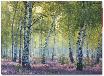 Természet puzzle tájkép – 1000 darabos