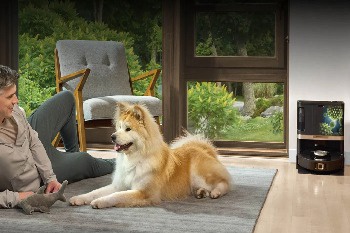 robotporszívó kutyaszőrre