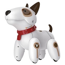 robot kutya