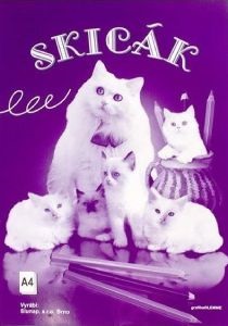 rajzlap kemény papírral