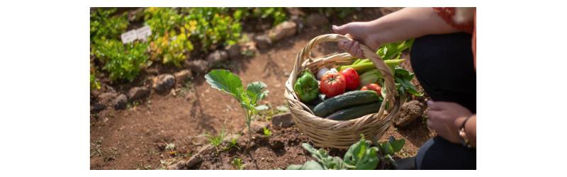 Termés feldolgozás kellékei