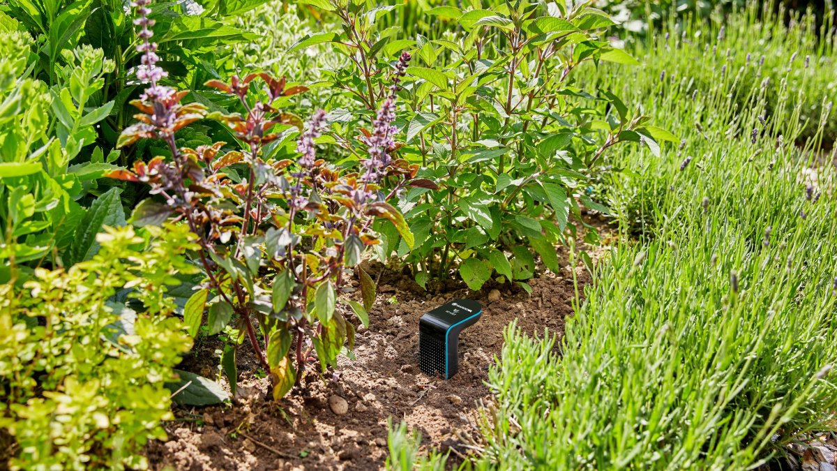 Okos öntözőrendszer