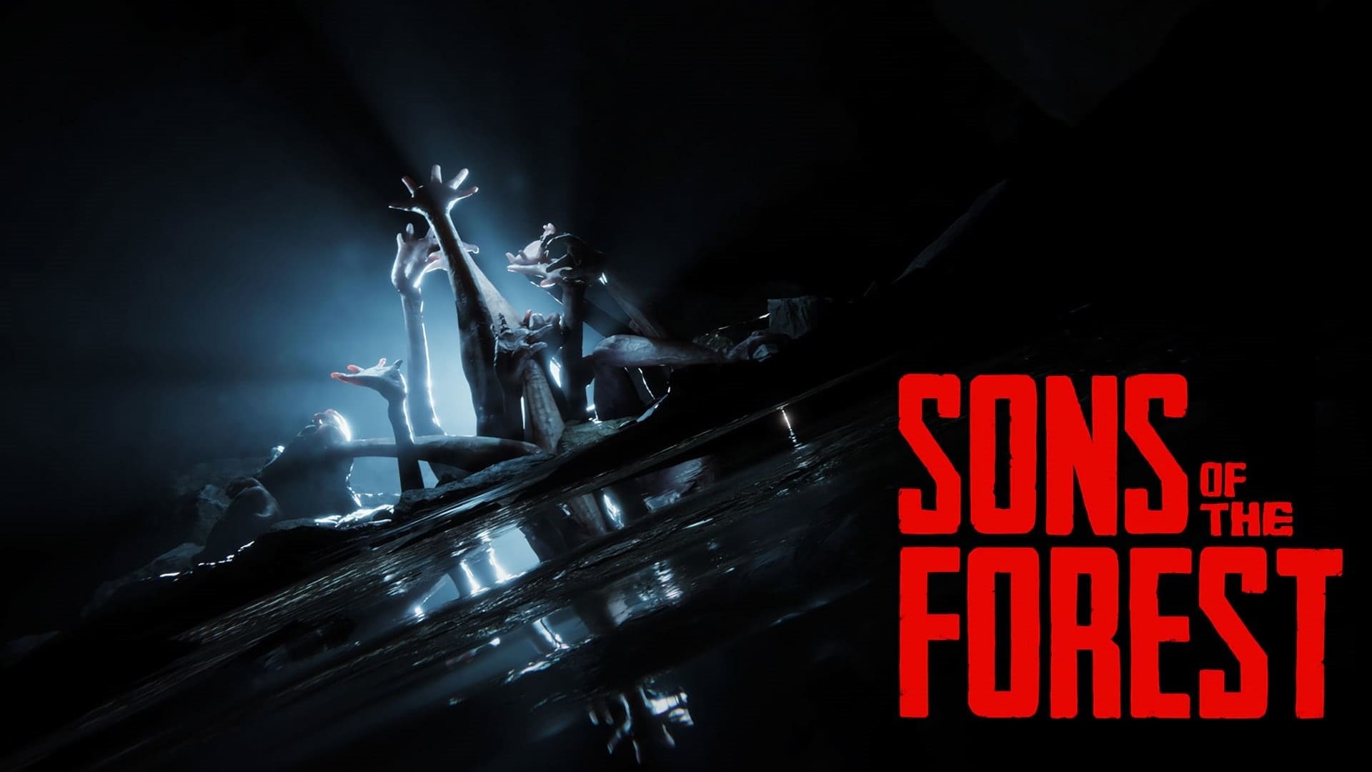 Sons of the Forest; screenshot: cover