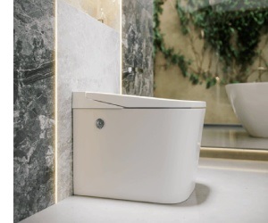 Álló WC