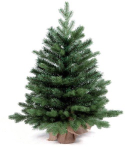 karácsonyfa díszek