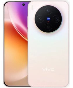 vivo X300