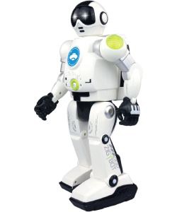 zigy robot