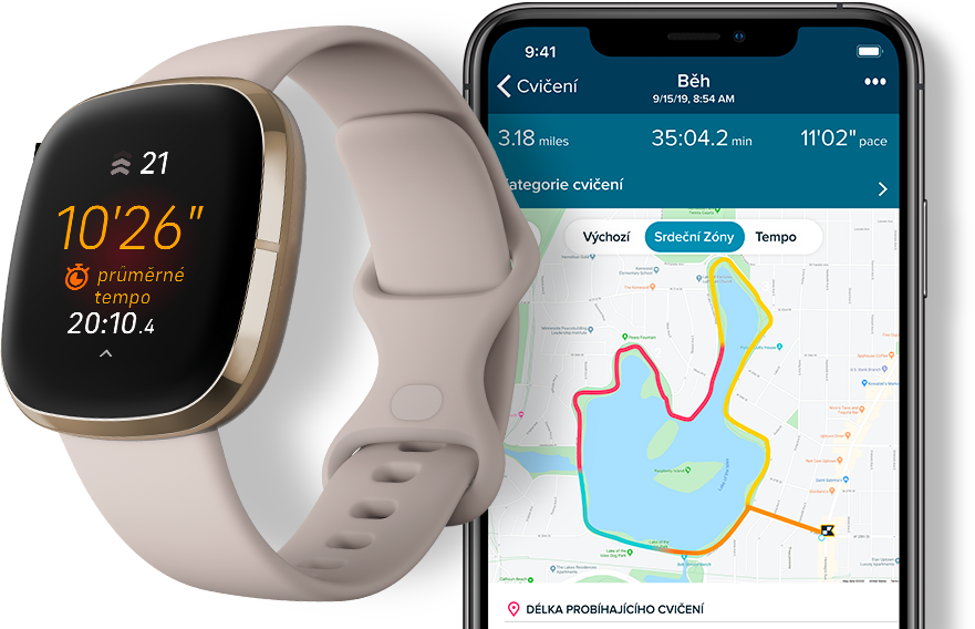 Fitbit Sense Fitbit Sense