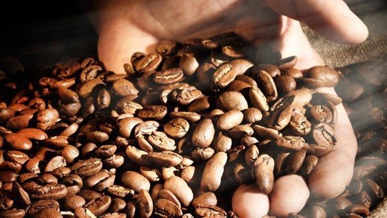 Kávé AlzaCafé Kenya Kamvara Embu, 250g