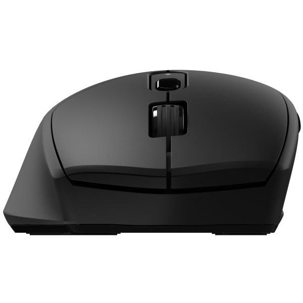 Eternico Wireless 2.4 GHz Bluetooth Mouse MSB350