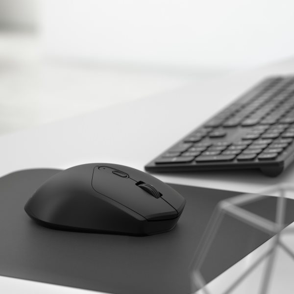 Eternico Wireless 2.4 GHz Bluetooth Mouse MSB350