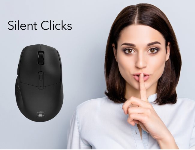 Eternico Wireless 2.4 GHz & Double Bluetooth Mouse MSB500