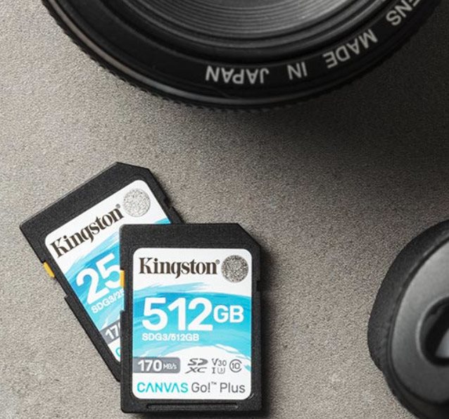 Kingston SDXC 256GB Canvas Go! Plus 