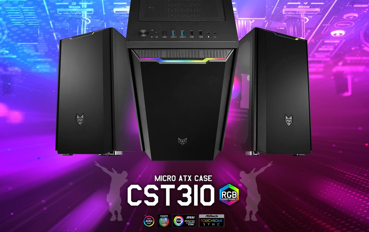 FSP Fortron CST310