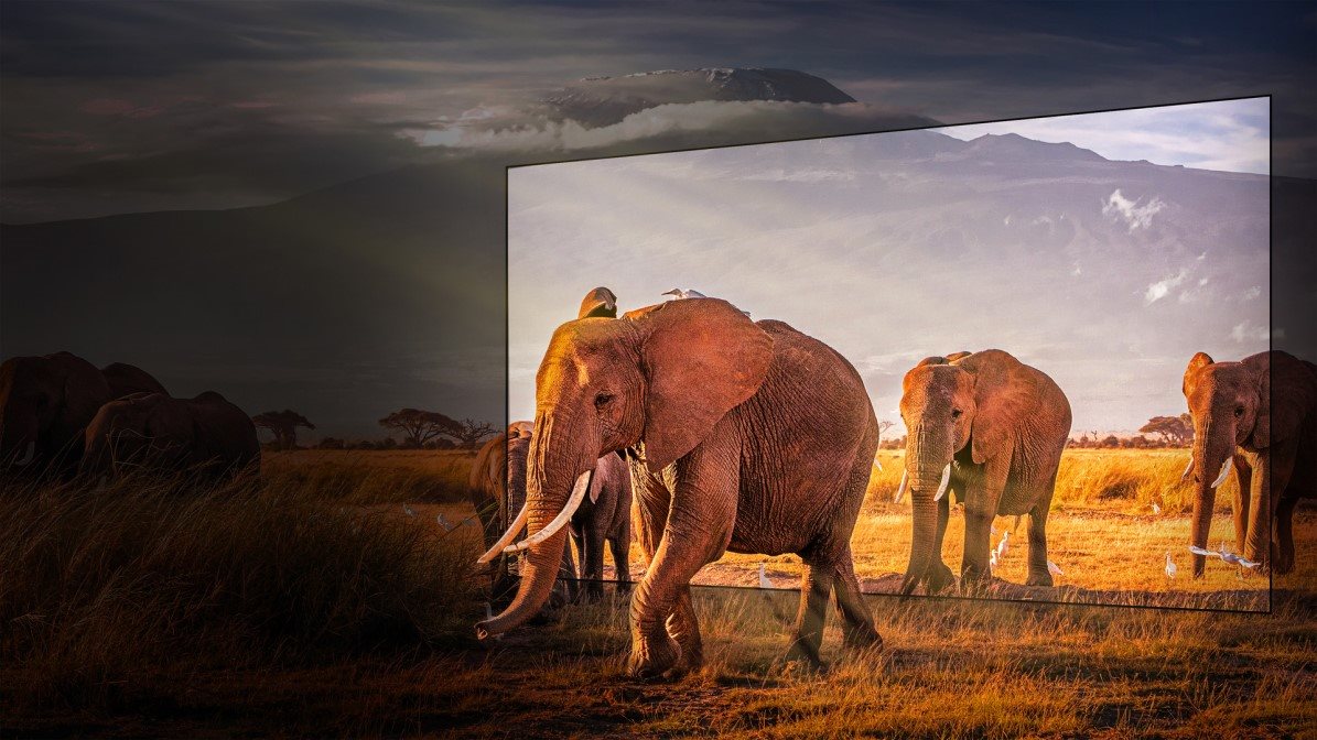 <az-stc data-sid="24665265">65"-es televízió</az-stc><az-stc data-sid="32950899">Hisense 65U8KQ</az-stc> SMART QLED
