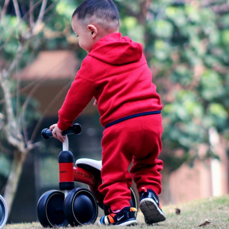 Luddy Mini Balance Bike Luddy Mini Balance Bike